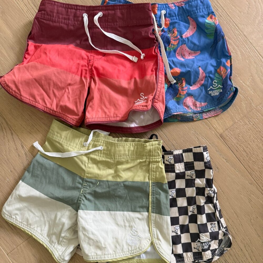 Seasta Surf Bordshorts